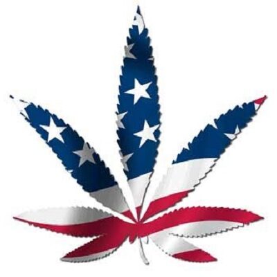 marijuana_usa patriotic leaf